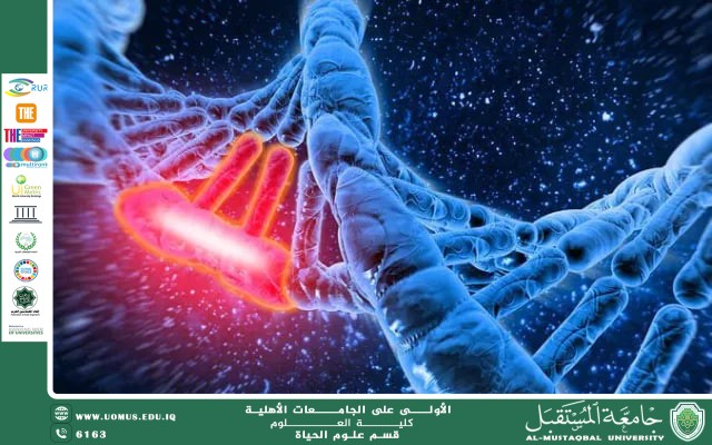 مقالة علمية للانسة نور الهدى عزمي حسن بعنوان " الطفرات الخلوية وتأثيرها في حدوث السرطان  "