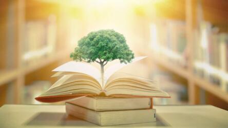 مقالة علمية للدكتور طيبة جاسم محمد بعنوان "Addressing the Root Causes of Worsening Student Mental "