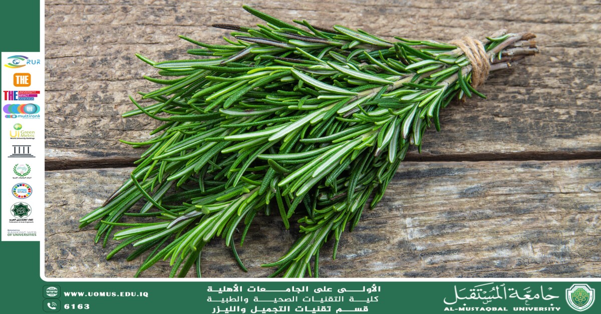 مقالة علمية للست شهد نورس بعنوان  فوائد إكليل الجبل (الروزماري)