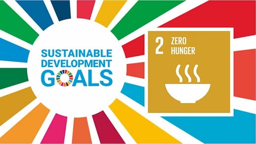 Achieving Food Security in Iraq as Part of Sustainable Development Goal 2