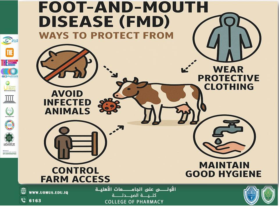 مقاله عن الحمى القلاعية    Foot-and-Mouth Disease  بقلم ا.د.ندى خزعل في كلية الصيدلة جامعة المستقبل