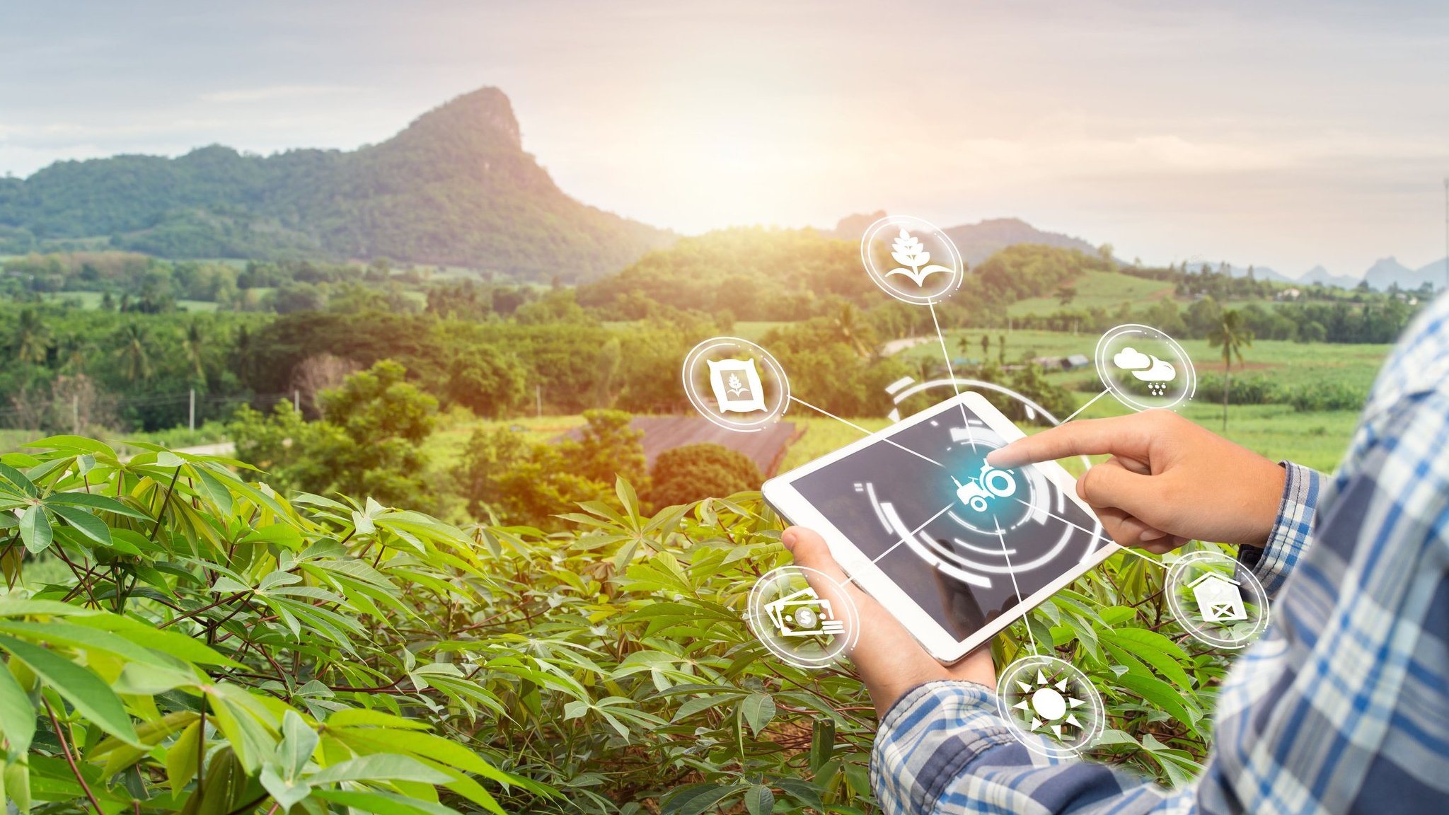 الطاقة المتجددة: مستقبل مستدام لكوكبنا