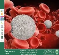 White Blood Cells: The Human Body's First Line of Defense