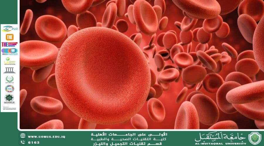 The Importance of Red Blood Cells in the Human Body