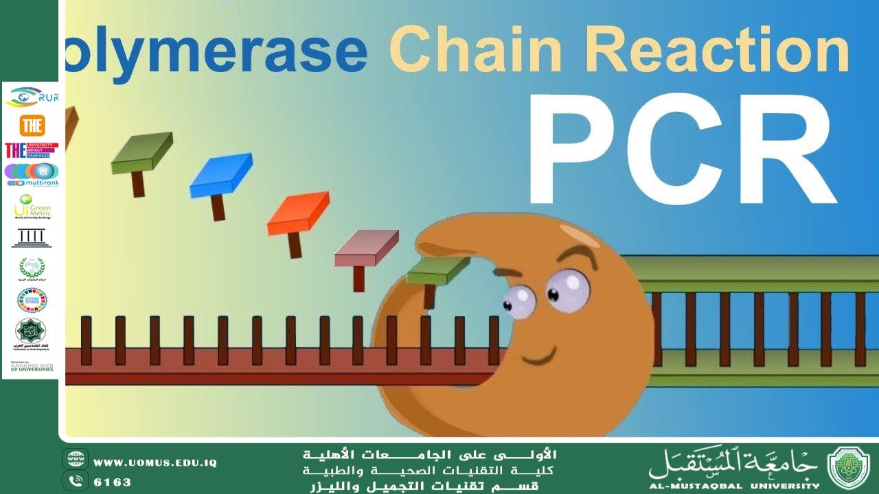 مقاله علميه بعنوان دور تفاعل البوليميراز المتسلسل (PCR) في كشف الأمراض الوراثية للست هدى رافد عبد الخالق 