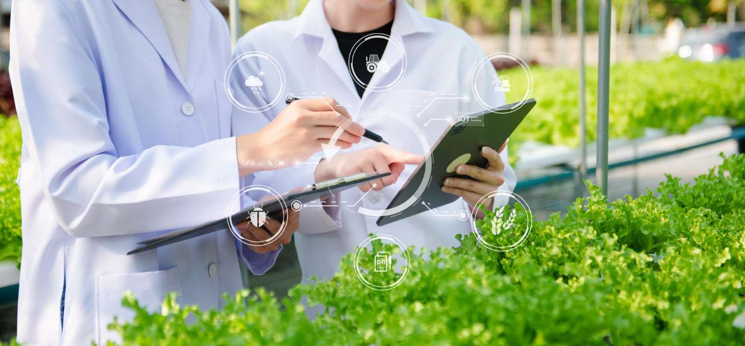A scientific article by lecturer Msc. Zainab Nazim Aziz entitled "Smart fertilization and its impact on production quality"