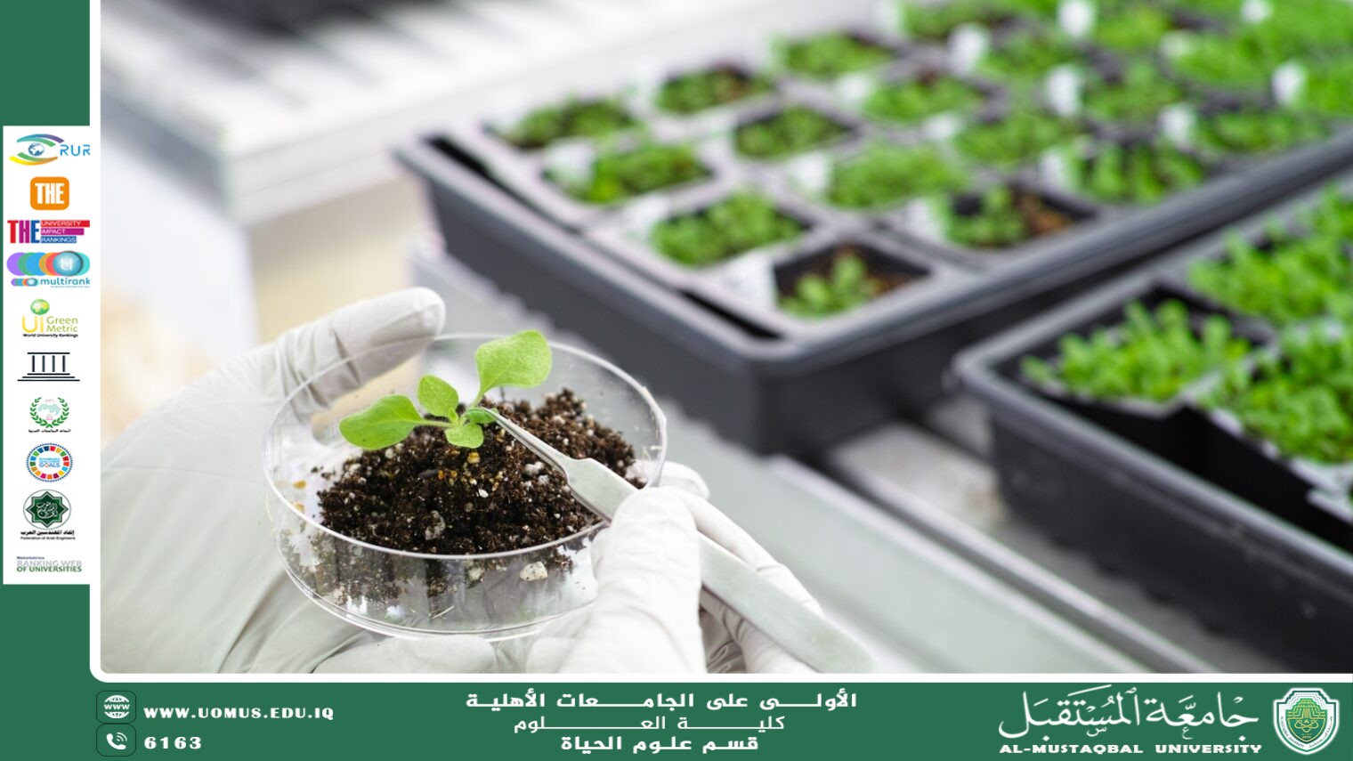 مقالة علمية للانسة نور الهدى عزمي حسن بعنوان "  كيفية حماية النباتات باستخدام طرق بيولوجية "