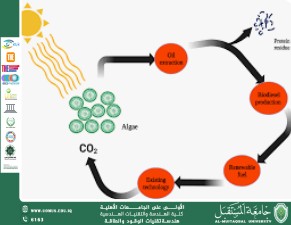 Biofuel from Microalgae: A Sustainable Alternative to Fossil Fuels