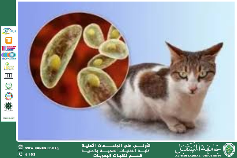  A scientific article by the lecturers, Assist.Prof.Dr. Munther Sameen Shukur / Lect. Mohaimen Sameer Aref / Lect. Ali Hadi Al-Husseini (Toxoplasmosis and Its Ocular Impact (Toxoplasma Infection))