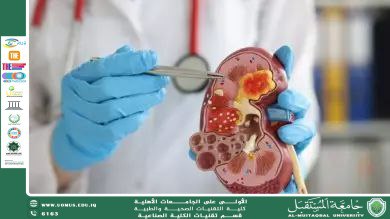 الاستراتيجيات الحديثة للوقاية من تدهور وظائف الكلى في مرضى القصور الكلوي المزمن