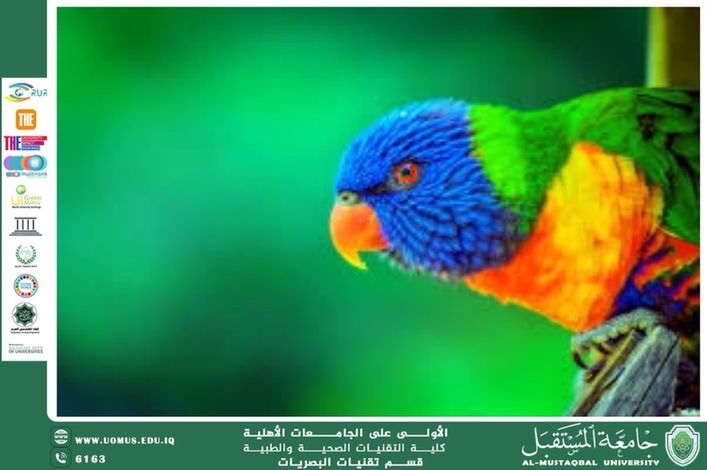  A scientific article by the lecturer, Lect. Mohaimen Sameer Aref/Teaching Assist. Danah Mohammed Salim (Vision in Animals)