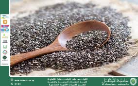 The Harmful Effects of Chia Seeds on the Kidneys