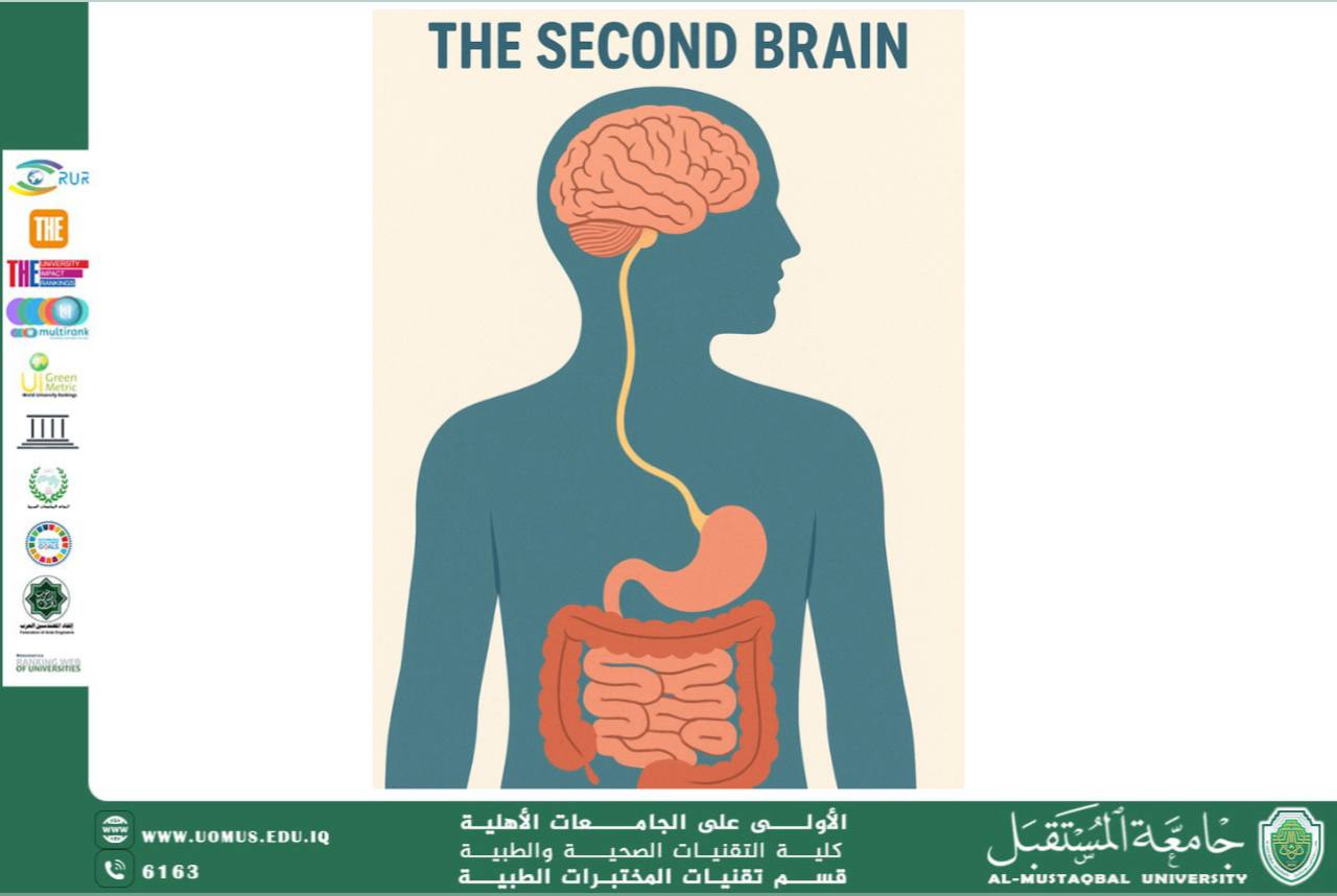 مقالة علمية للسيدة مريم نجاح هادي بعنوان الدماغ الثاني: كيف تتحكم أمعاؤنا في عواطفنا وصحتنا العقلية؟
