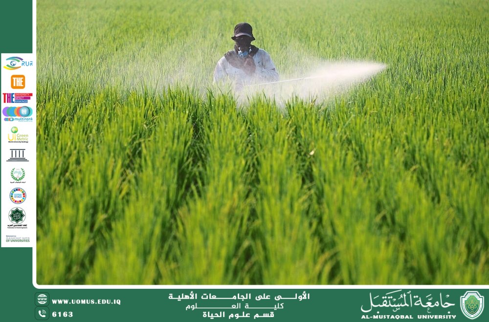 مقالة علمية للمعيده بنين معن كريم بعنوان "تأثير الأسمدة والمبيدات على الحياة النباتية والميكروبية في التربة"