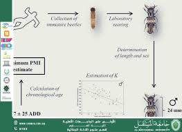 Insects as Environmental Indicators in Forensic Investigations  (M.M. Howayda Nazzal Hussein)