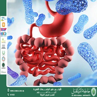 A scientific article by Ms. Noor Al-Huda Azmi Hassan entitled "The Importance of Proteins in Building the Body and Regenerating Cells"
