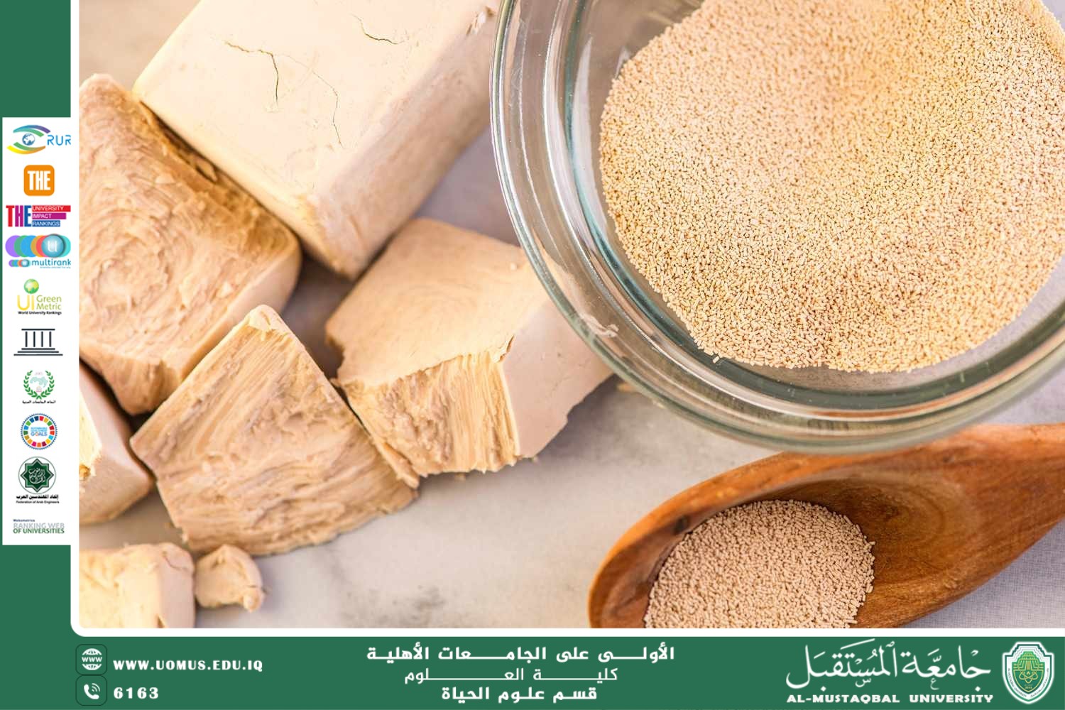 مقالة علمية للتدريسية بنين معن كريم بعنوان "الخمائر ودورها في الصناعات الغذائية "