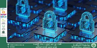 Network Engineering as a Tool for Securing Digital Infrastructure (waqar chafat jassim)