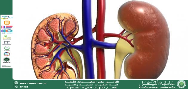 وظائف الكلى وعلاقتها باعتلال شبكة العين