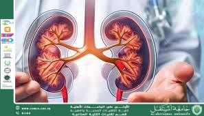 التعرض المستمر للضوضاء والإجهاد البيئي وتأثيره غير المباشر على صحة الكلى 