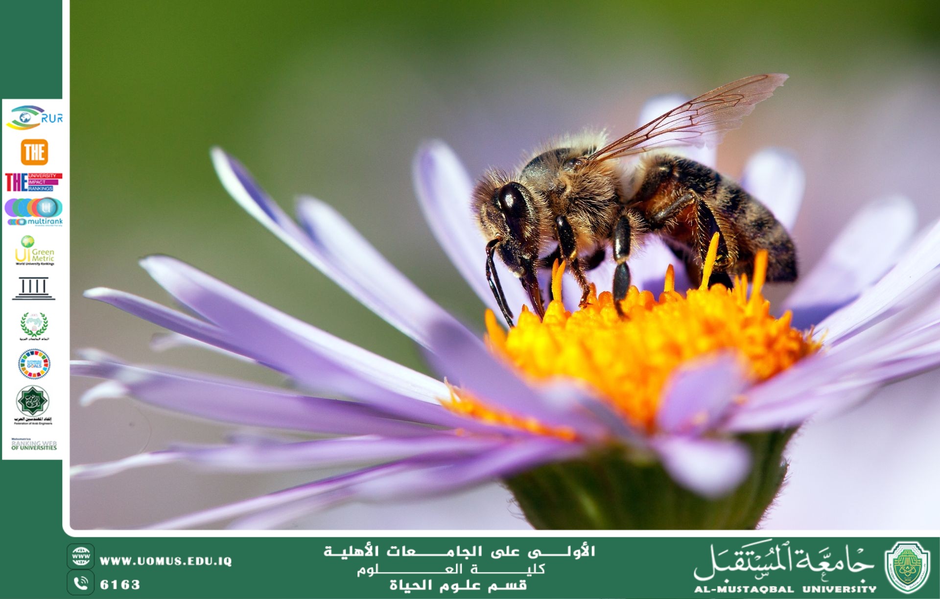 A scientific article by Ms. Noor Al-Huda Azmi Hassan entitled "Beneficial Insects"