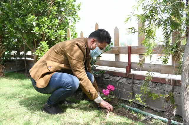 default image
