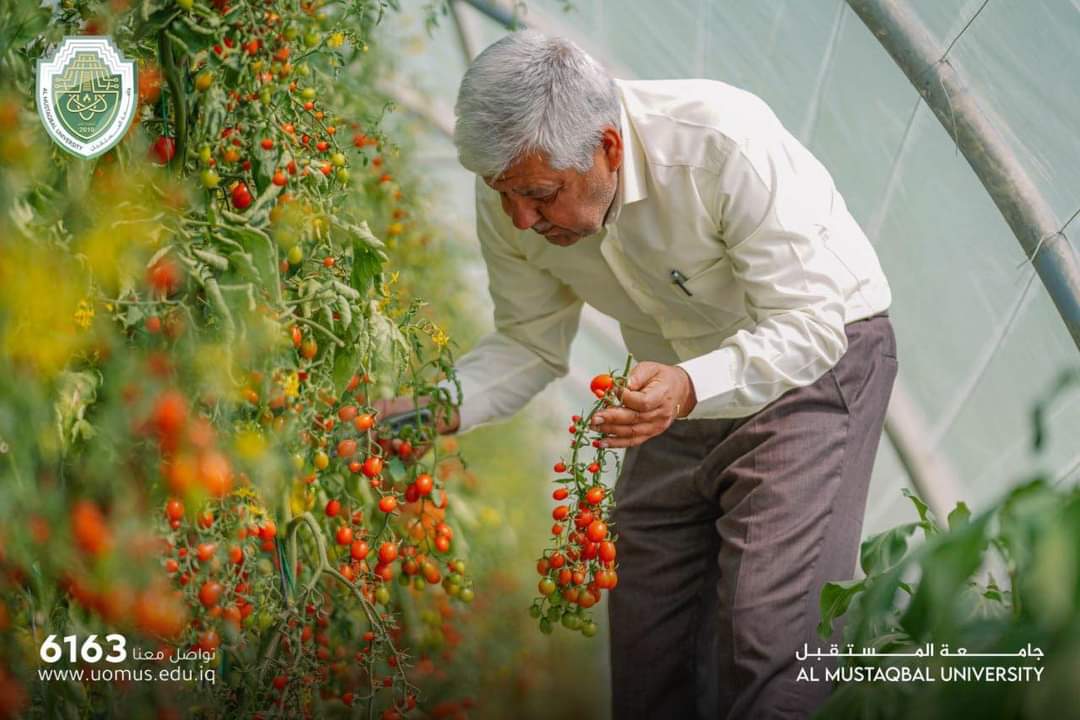 Fruit Harvest at the Sustainable Farms of Al-Mustaqbal University